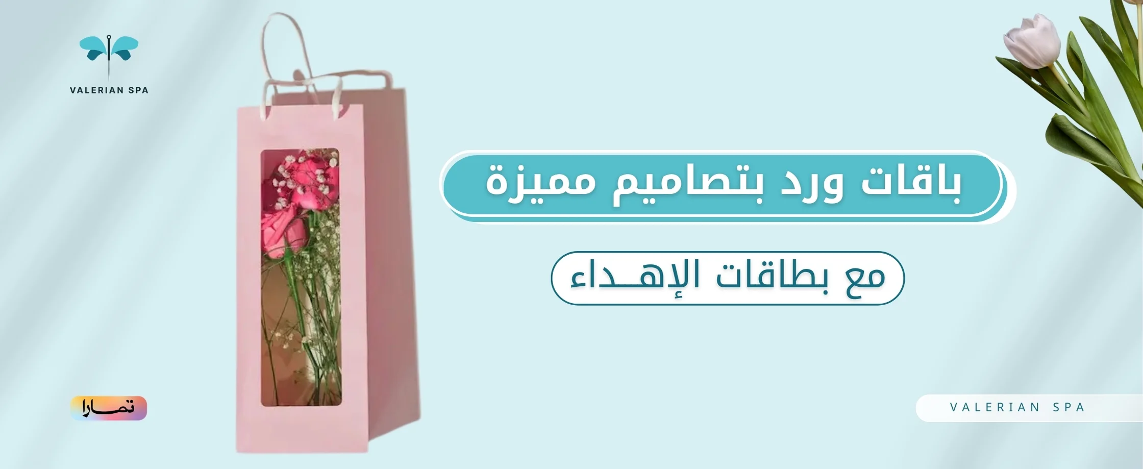 Banner Image 8